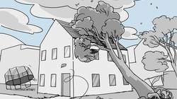 Pendant les tempêtes, les arbres peuvent tomber et les objets non sécurisés peuvent s'envoler - avec les dangers correspondants pour les personnes et les bâtiments. Lors d'une forte tempête, un arbre tombe sur le toit d'une maison et un trampoline s'envole